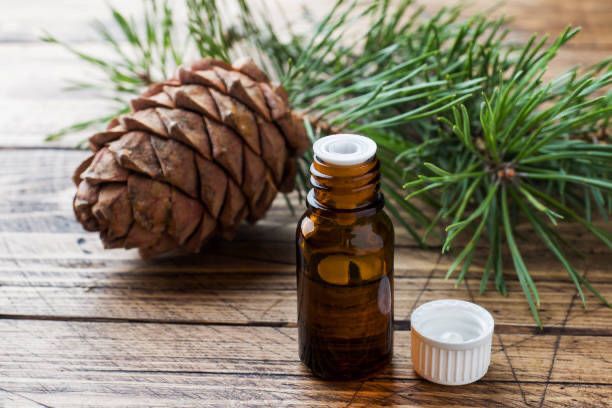 Fresh All Day: The Natural Power of Cedarwood Deodorant